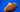 Signature Croissant